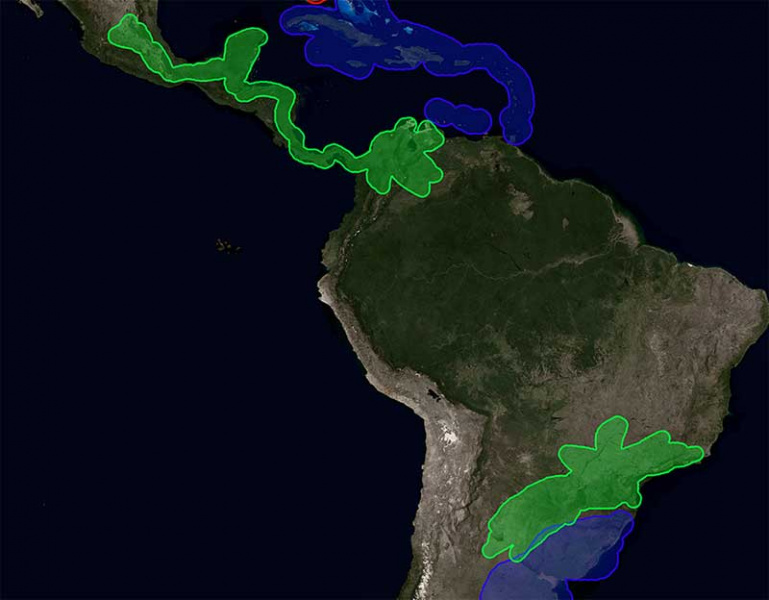 File:Zonamaras.jpg