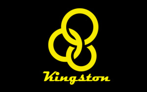 Logo della Kingston