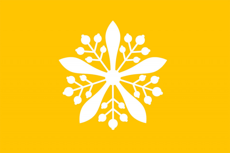 File:Manciuriaflag.jpg