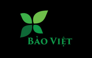 Logo della Bao Viet